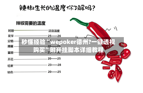 秒懂经验“wepoker德州?一键透视购买”附开挂脚本详细教程-第3张图片