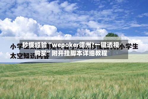 秒懂经验“wepoker德州?一键透视购买	”附开挂脚本详细教程-第2张图片