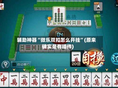 辅助神器“微乐双扣怎么开挂”(原来确实是有插件)-第3张图片