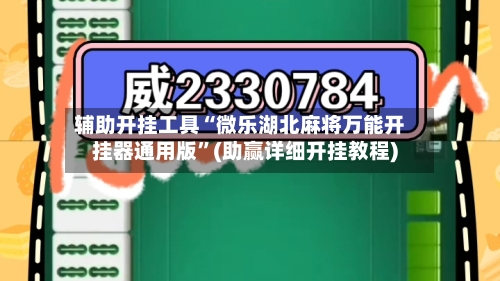 辅助开挂工具“微乐湖北麻将万能开挂器通用版”(助赢详细开挂教程)-第3张图片