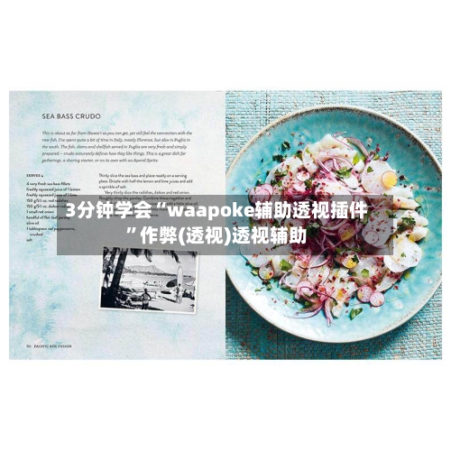 3分钟学会“waapoke辅助透视插件”作弊(透视)透视辅助-第3张图片