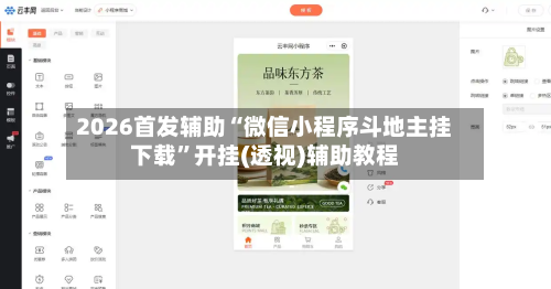 2026首发辅助“微信小程序斗地主挂下载”开挂(透视)辅助教程-第2张图片