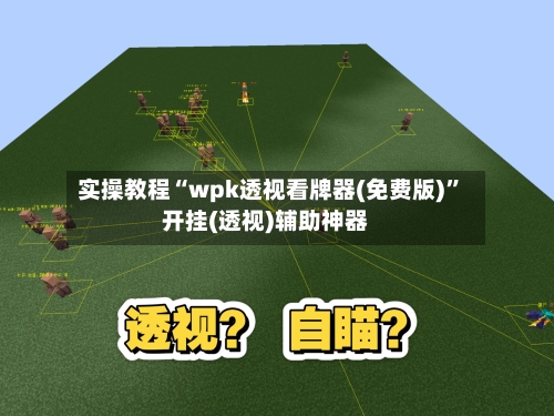 实操教程“wpk透视看牌器(免费版)”开挂(透视)辅助神器-第3张图片