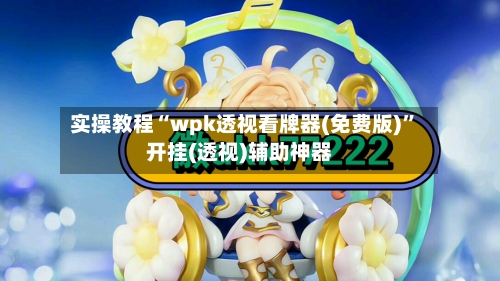 实操教程“wpk透视看牌器(免费版)”开挂(透视)辅助神器-第2张图片