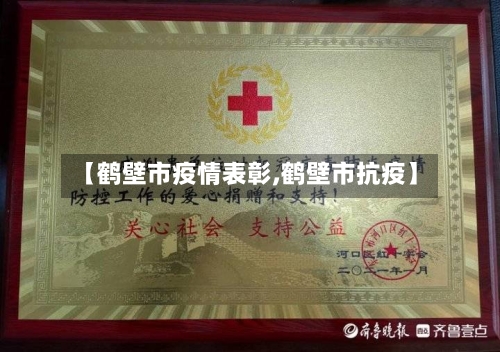 【鹤壁市疫情表彰,鹤壁市抗疫】