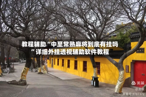 教程辅助“中至常熟麻将到底有挂吗”详细外挂透视辅助软件教程