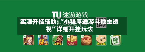 实测开挂辅助:“小程序途游斗地主透视”详细开挂玩法-第2张图片