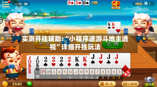实测开挂辅助:“小程序途游斗地主透视”详细开挂玩法-第3张图片