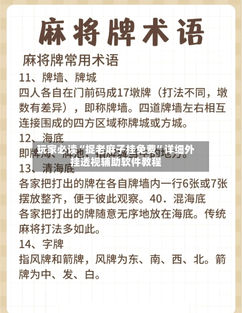 玩家必读“捉老麻子挂免费”详细外挂透视辅助软件教程-第2张图片