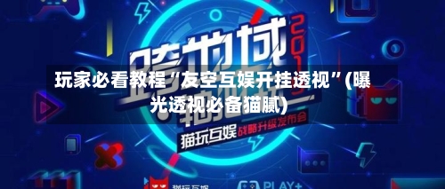 玩家必看教程“友空互娱开挂透视”(曝光透视必备猫腻)-第3张图片