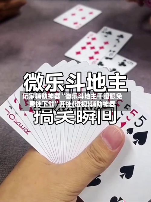 玩家辅助神器“微乐斗地主干瞪眼免费挂下载”开挂(透视)辅助神器-第3张图片