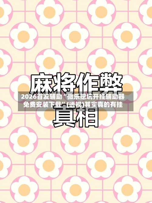 2026首发辅助“微乐挖坑开挂辅助器免费安装下载	”(透视)其实真的有挂-第2张图片