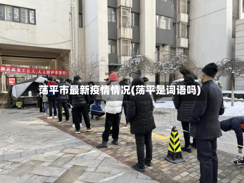 荡平市最新疫情情况(荡平是词语吗)