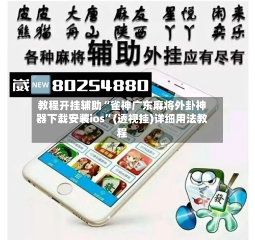 教程开挂辅助“雀神广东麻将外卦神器下载安装ios”(透视挂)详细用法教程-第2张图片