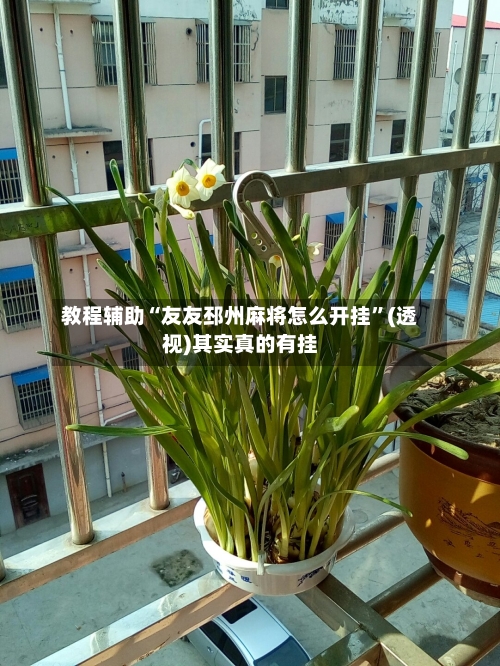 教程辅助“友友邳州麻将怎么开挂”(透视)其实真的有挂-第3张图片