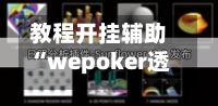 教程开挂辅助“wepoker透视挂使用教程	”详细开挂教程-第3张图片