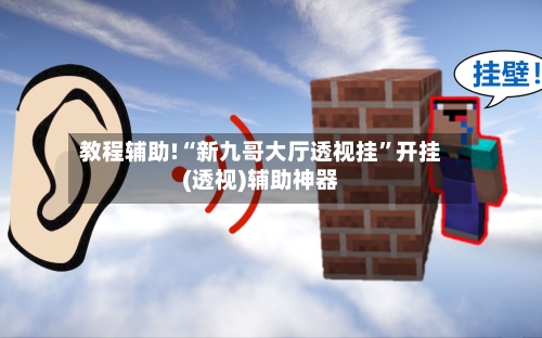 教程辅助!“新九哥大厅透视挂”开挂(透视)辅助神器-第3张图片