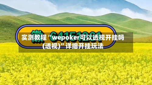 实测教程“wepoker可以透视开挂吗(透视)”详细开挂玩法