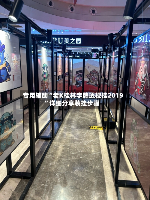 专用辅助“老K桂林字牌透视挂2019”详细分享装挂步骤