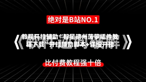 教程开挂辅助“智星德州菠萝插件教程下载”开挂辅助脚本+详细开挂-第2张图片