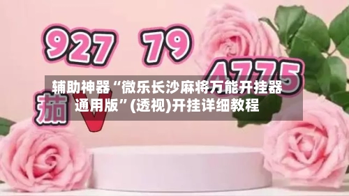 辅助神器“微乐长沙麻将万能开挂器通用版	”(透视)开挂详细教程-第2张图片