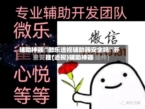 辅助神器“微乐透视辅助器安全吗	”开挂(透视)辅助神器-第2张图片