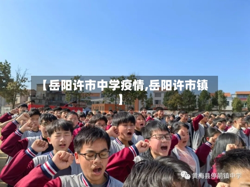 【岳阳许市中学疫情,岳阳许市镇】-第3张图片