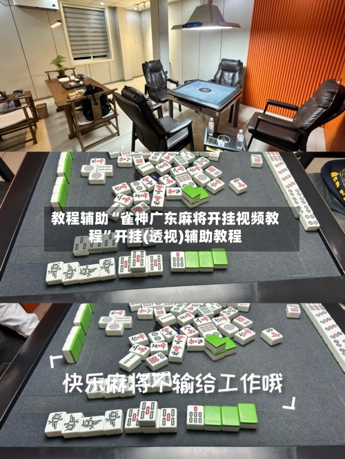 教程辅助“雀神广东麻将开挂视频教程”开挂(透视)辅助教程-第2张图片