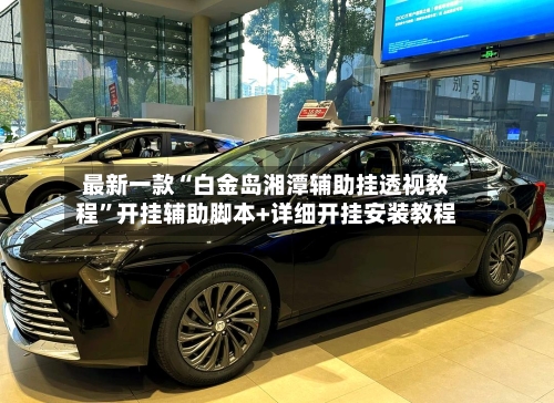 最新一款“白金岛湘潭辅助挂透视教程”开挂辅助脚本+详细开挂安装教程-第2张图片