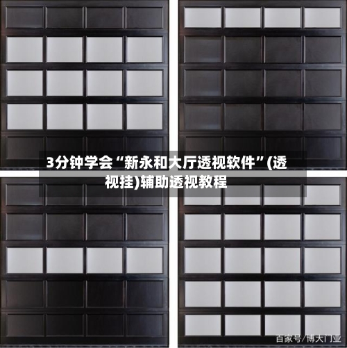 3分钟学会“新永和大厅透视软件”(透视挂)辅助透视教程