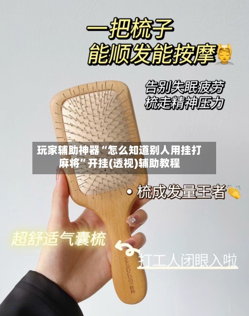 玩家辅助神器“怎么知道别人用挂打麻将	”开挂(透视)辅助教程-第2张图片