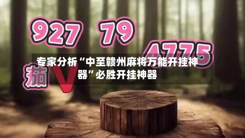 专家分析“中至赣州麻将万能开挂神器”必胜开挂神器