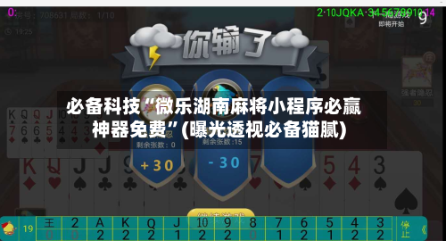 必备科技“微乐湖南麻将小程序必赢神器免费”(曝光透视必备猫腻)-第2张图片