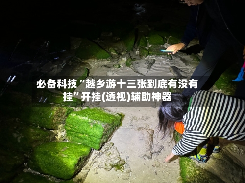 必备科技“越乡游十三张到底有没有挂	”开挂(透视)辅助神器-第3张图片