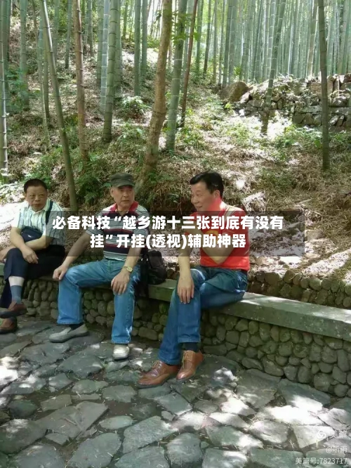 必备科技“越乡游十三张到底有没有挂”开挂(透视)辅助神器-第2张图片