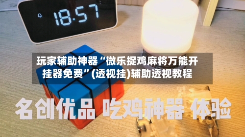玩家辅助神器“微乐捉鸡麻将万能开挂器免费”(透视挂)辅助透视教程-第3张图片
