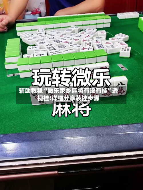 辅助教程“微乐家乡麻将有没有挂	”透视挂!详细分享装挂步骤-第2张图片