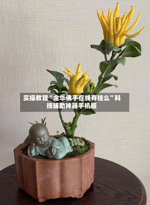 实操教程“金华佛手在线有挂么”科技辅助神器手机版