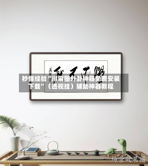 秒懂经验“川麻圈外卦神器免费安装下载”（透视挂）辅助神器教程-第2张图片