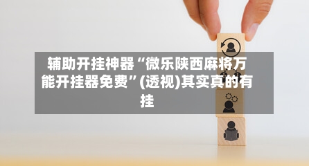 辅助开挂神器“微乐陕西麻将万能开挂器免费”(透视)其实真的有挂-第3张图片