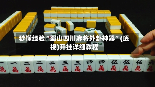 秒懂经验“蜀山四川麻将外卦神器”(透视)开挂详细教程-第3张图片