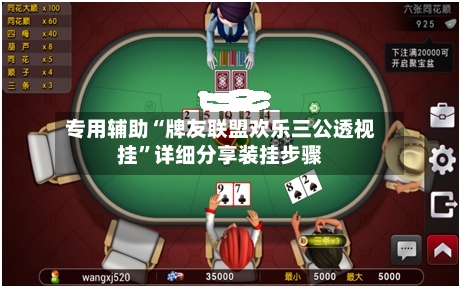 专用辅助“牌友联盟欢乐三公透视挂”详细分享装挂步骤