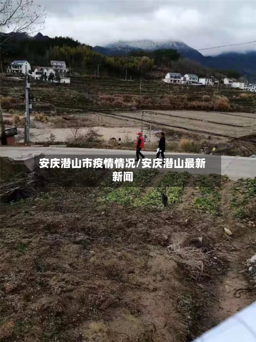 安庆潜山市疫情情况/安庆潜山最新新闻-第2张图片