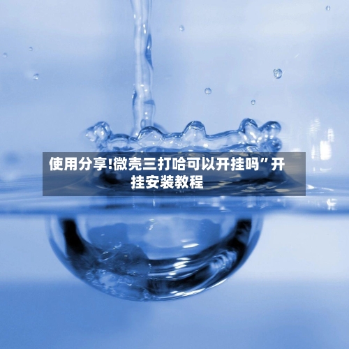 使用分享!微壳三打哈可以开挂吗”开挂安装教程