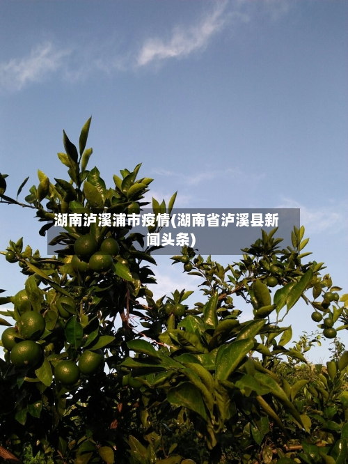 湖南泸溪浦市疫情(湖南省泸溪县新闻头条)
