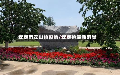安定市龙山镇疫情/安定镇最新消息-第3张图片