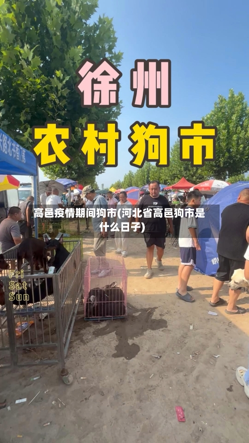 高邑疫情期间狗市(河北省高邑狗市是什么日子)