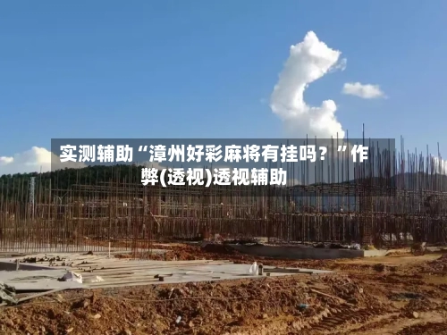 实测辅助“漳州好彩麻将有挂吗？”作弊(透视)透视辅助-第2张图片