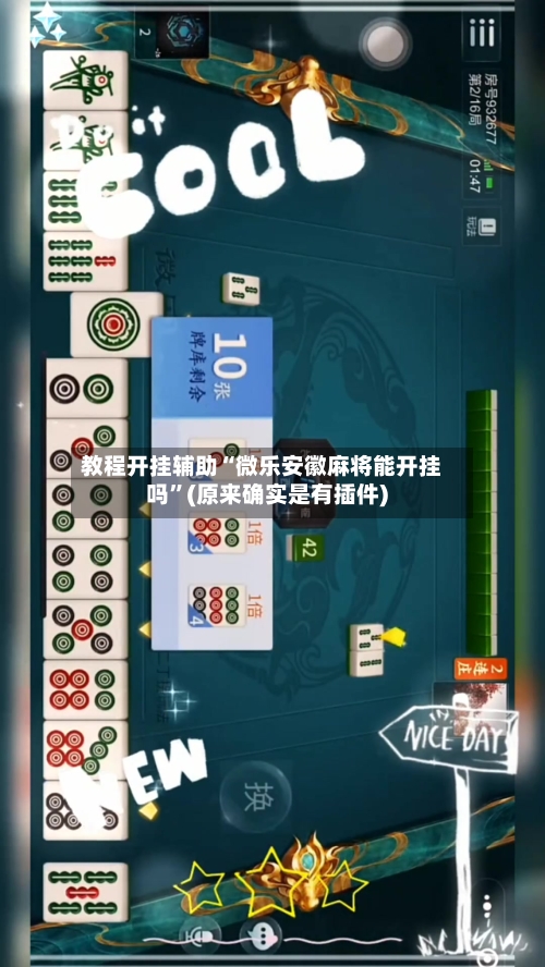 教程开挂辅助“微乐安徽麻将能开挂吗”(原来确实是有插件) -第3张图片