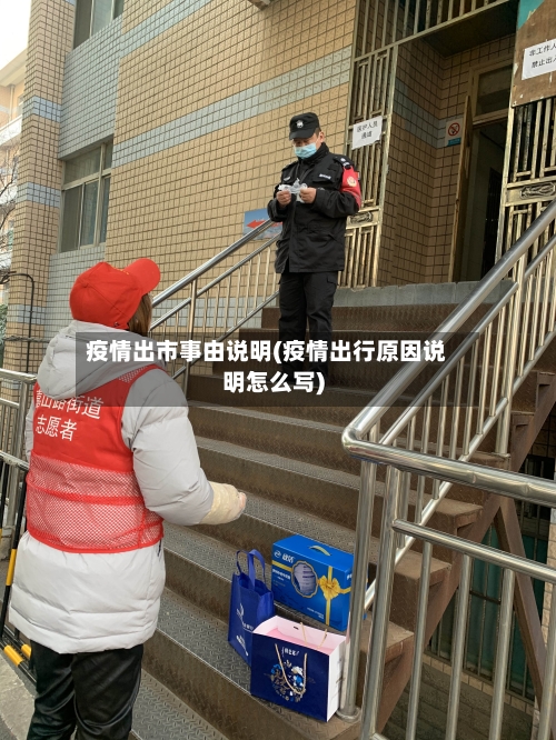 疫情出市事由说明(疫情出行原因说明怎么写)-第2张图片